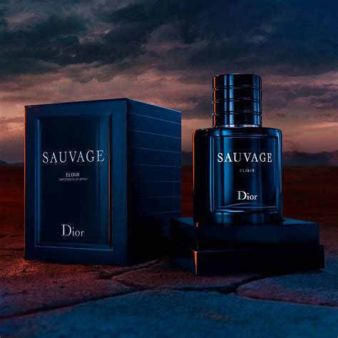 notes of dior sauvage